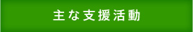 主な支援活動